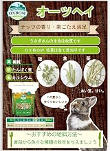 Oxbow Oat Hay for Small Pets 425g Rabbits Guinea Pigs Chinchilla view 5
