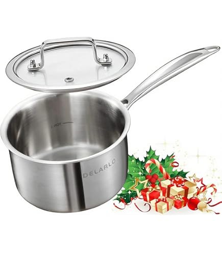 Amazon.com: Sitram Cybernox 2.4 Quart Saucepan with Cover: Home