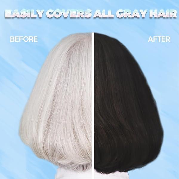 BLACK HAIR DYE SHAMPOO 3 IN 1 FOR WOMEN & MEN 100% GRAY HAIR COVERAGE INSTANT HAIR COLOR SHAMPOO – HERBAL INGREDIENTS – FOR PARA CANAS MUJER 17.6 FL OZ (BLACK)