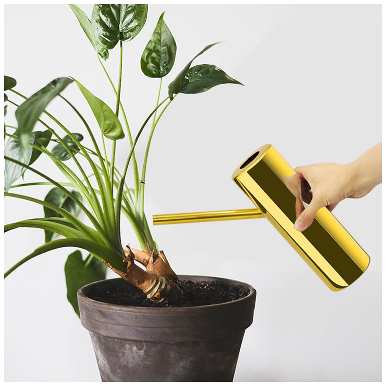 1.1L / 37oz Watering Can Vase Stainless Steel for Indoor Outdoor Use - Small Metal Mini Watering Can for Indoor Plants, House Plants, Bonsai, Herb Garden, Kitchen, Flower Pot, Long Spout Nose, Gold