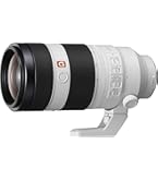 Sony 100-400mm F/4.5-5.6 Telephoto Fixed Zoom Lenses, Black/White