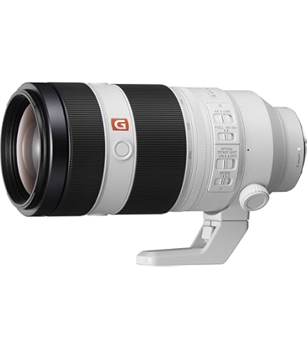【Sony】FE100-400mm F4.5-5.6GM Amazon.com : Sony FE 100-400mm F4.5–5.6 GM OSS with Sony FE 1.4x