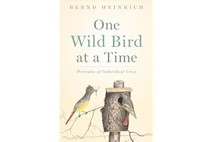 One Wild Bird at a Time: Portraits of Individual Lives