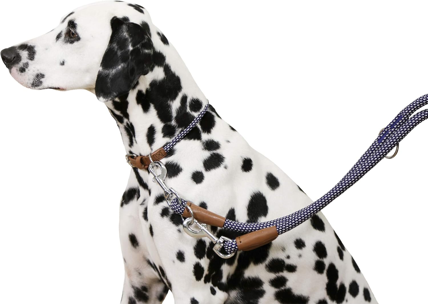 Maxi Pet Phoenix 80218 Lead 9 mm x 100 cm Blue, Leine Phoenix - Image 5