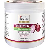 Rose Jolie Onion & Biotin Hair Treatment | Hair Fall Control & Growth Support | Deep Repair for Dry or Damaged Hair | Sulfate-Free, Salt-Free, Paraben-Free | No Onion Smell | 16 fl oz