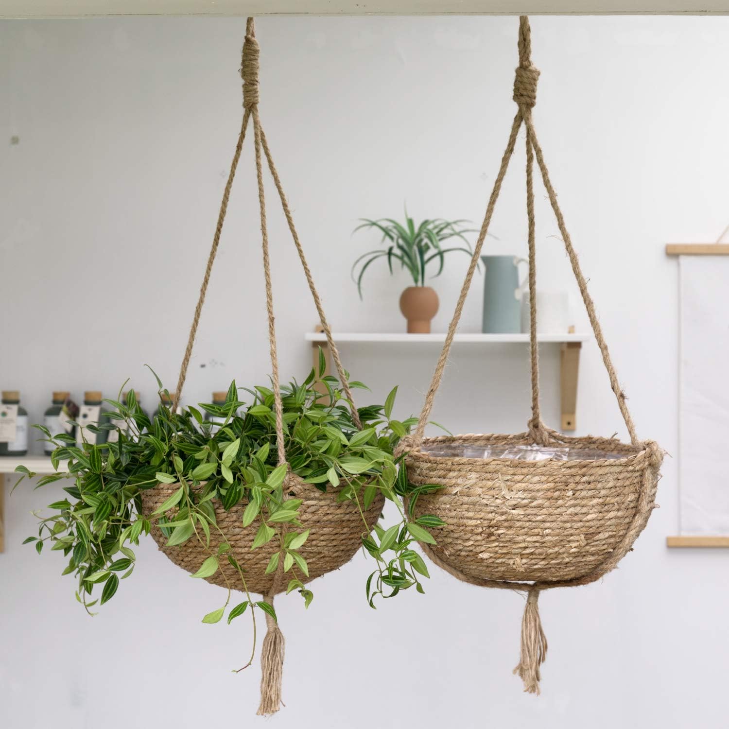 Natural Seagrass Hanging Planter Basket Set, Indoor Plant Pots, Boho Decor Plant Pot Cover, 12.4 (D) 6.3 (H) Inch, Pack 2 : Kitchen & Dining