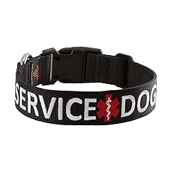 Tacticollar - Service Dog