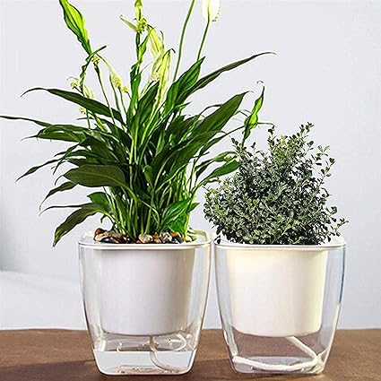 Kurtzy PP Self Watering Flowering Pots for Indoor Garden Balcony-Transparent, White 12.5x13cm, Pack of 2
