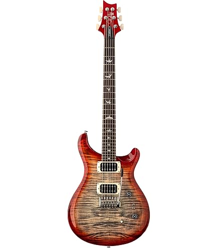Amazon.com: PRS Paul Reed Smith 6 String SE Standard 24