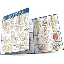 The Physiology Coloring Book : Kapit, Wynn, Macey, Robert, Meisami