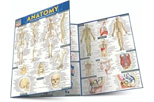 Anatomy: QuickStudy Laminated Reference Guide
