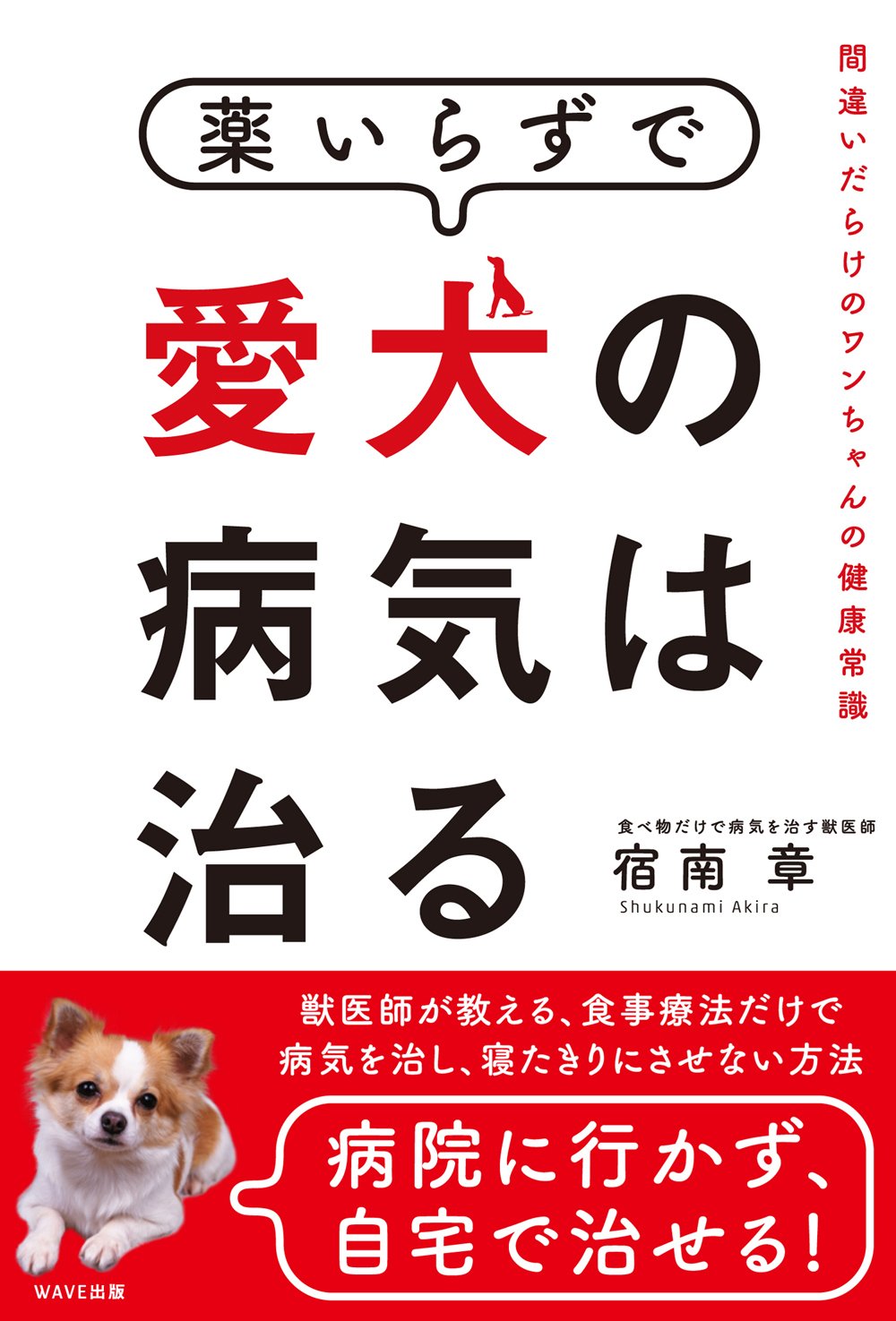 薬いらずで愛犬の病気は治る 間違いだらけのワンちゃんの健康常識 宿南 章 本 通販 Amazon