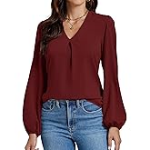 LYANER Women's V-Neck Long Sleeve Solid Tee Shirt Blouse Top