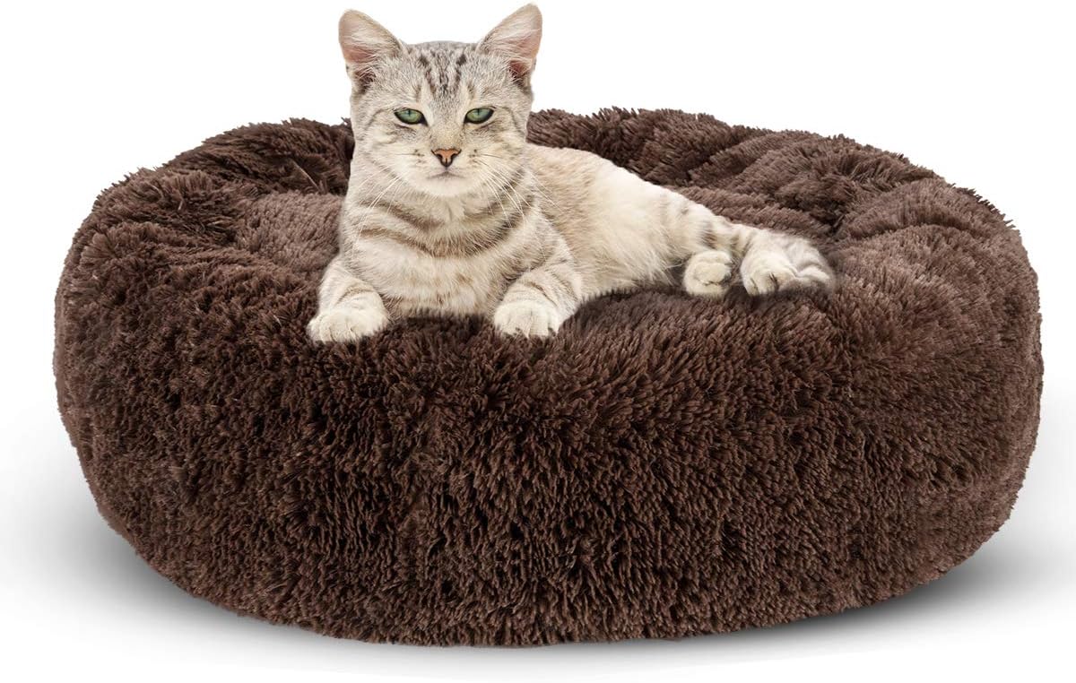 JOEJOY Dog Beds for Small Dogs, Soft Faux Short Plush Dog Beds, Cat Beds for Indoor Cats Pet Bed for Kitten Self Warming Winter Comfy Warming Puppy Beds for Small Dogs Washable : Pet Supplies