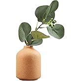 Ceramic Vase - Simple Vase for Flowers Plants, Small Modern Minimalist Ceramic Vase, Dried Flower Vase, Flower Arrangement Decorative Shooting Props, Best Decoration (Brown)
