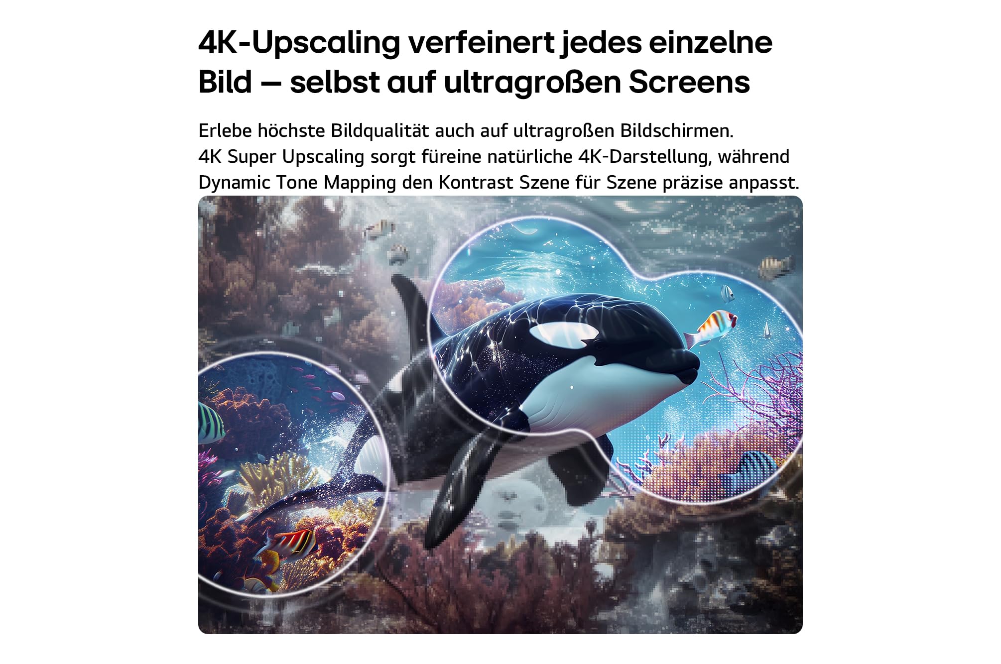 LG 43QNED7EB3C TV 43 Zoll (109 cm) 4K QNED Mini LED AI TV (α7 Gen9 4K AI Prozessor, webOS 26, 60Hz (VRR bis zu 60Hz)) [Modelljahr 2026] 6