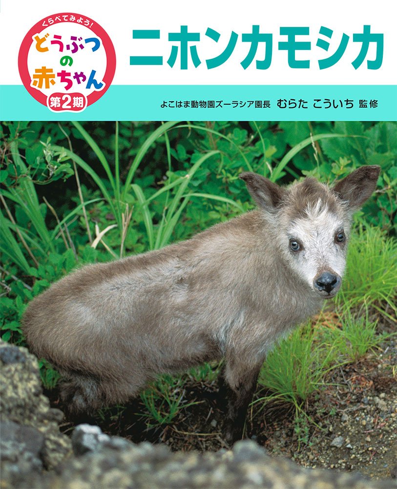 ニホンカモシカ くらべてみよう どうぶつの赤ちゃん Amazon Com Books