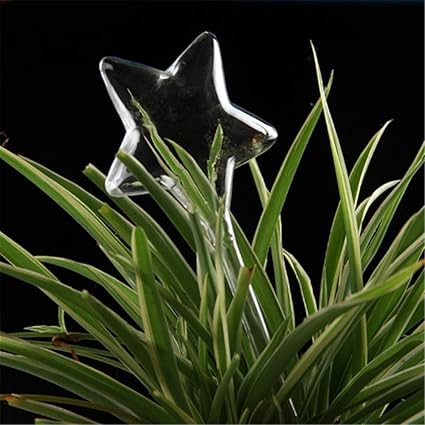 Mysterluna Glass Plant Water Feeder Flowers Drip Self Watering For