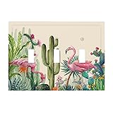 Tropical Summer Cacti Succulent Cactus Plant Pink