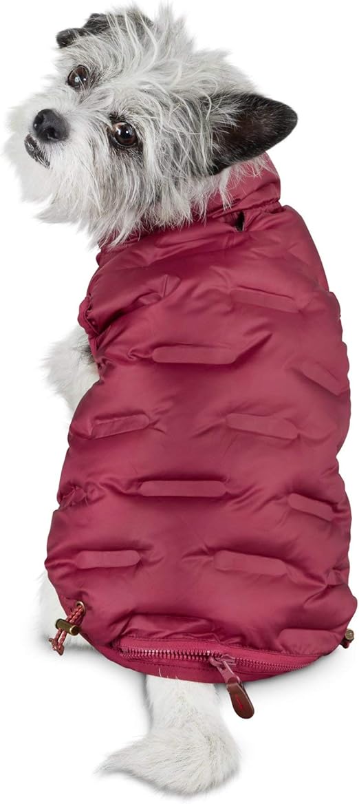 pets market santa ana