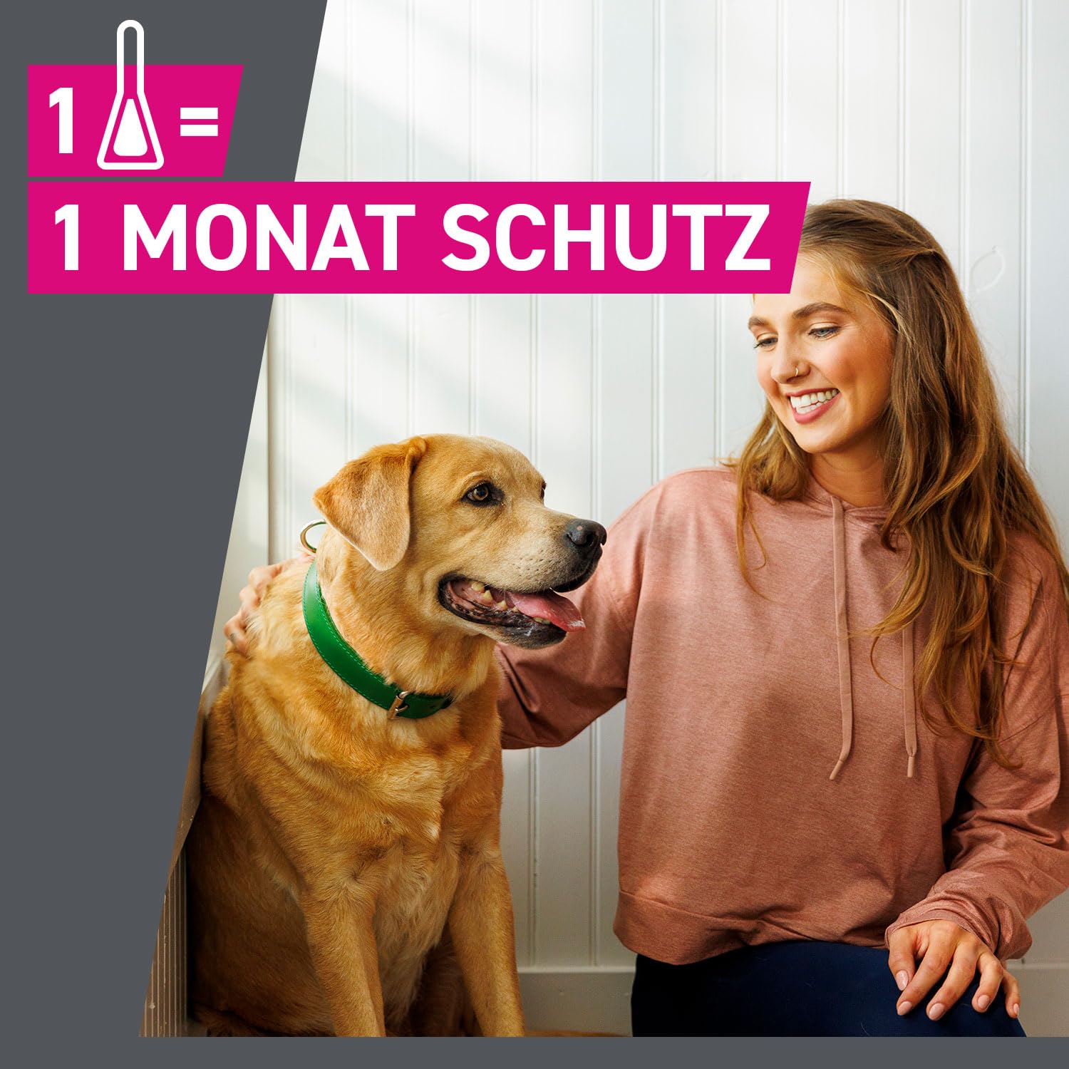 FRONTLINE TRI-ACT Hund L gegen Zecken, Flöhe & Mücken (große Hunde 20 bis 40 kg) - 3X Pipetten für bis zu 3 Monate Schutz - wasserfest - perfekt auf Reisen 4