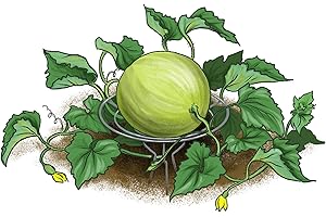 HAPPY TREES HEMP Happy Trees Melon Support Cradles for Watermelon, Cantaloupe, Squash, Pumpkin - Sturdy Metal Protector, Heavy-Duty Steel Made in USA, 6-Pack