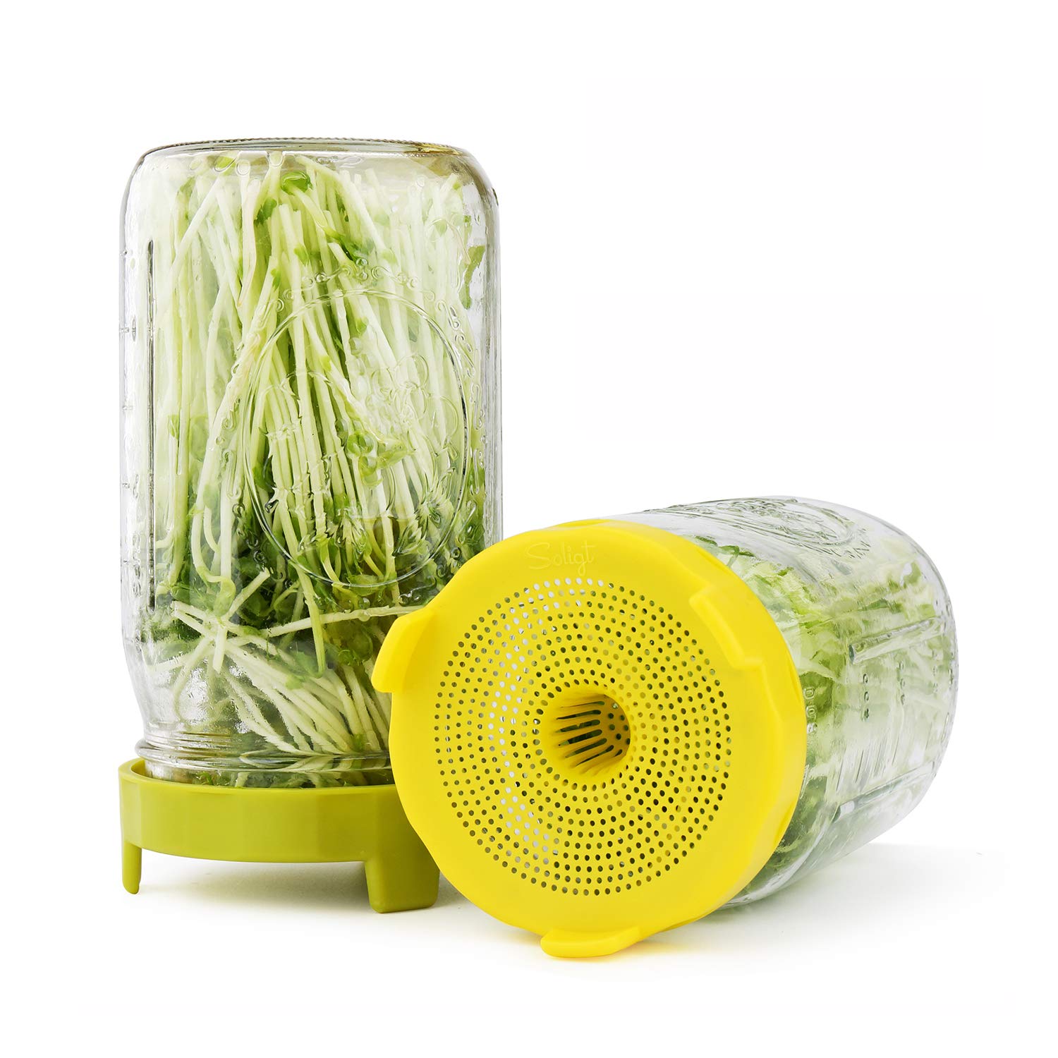 Best canning times for green beans