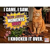 Funny Cat Calendar 2027 Cats Monthly Wall Calender 12 Month | American Made In The USA
