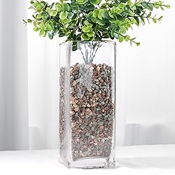 JOHOUSE 2LB Horticultural Lava Rocks, Mix Rocks for