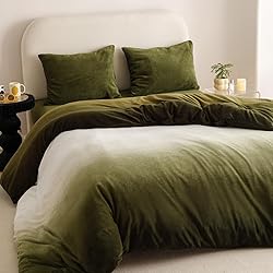 Luxlovery Green Gradient Velvet Comforter Queen