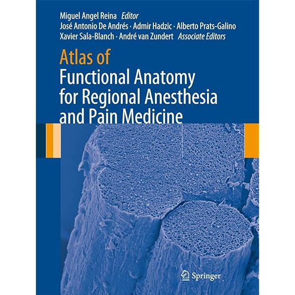 Mri, Arthroscopy, and Surgical Anatomy of the Joints: Stoller