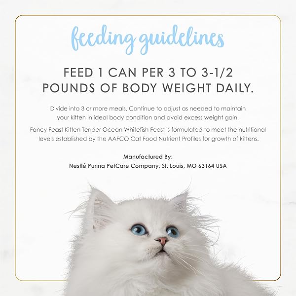 PURINA FANCY FEAST TENDER OCEAN WHITEFISH FEAST WET KITTEN FOOD – (PACK OF 24) 3 OZ. CANS