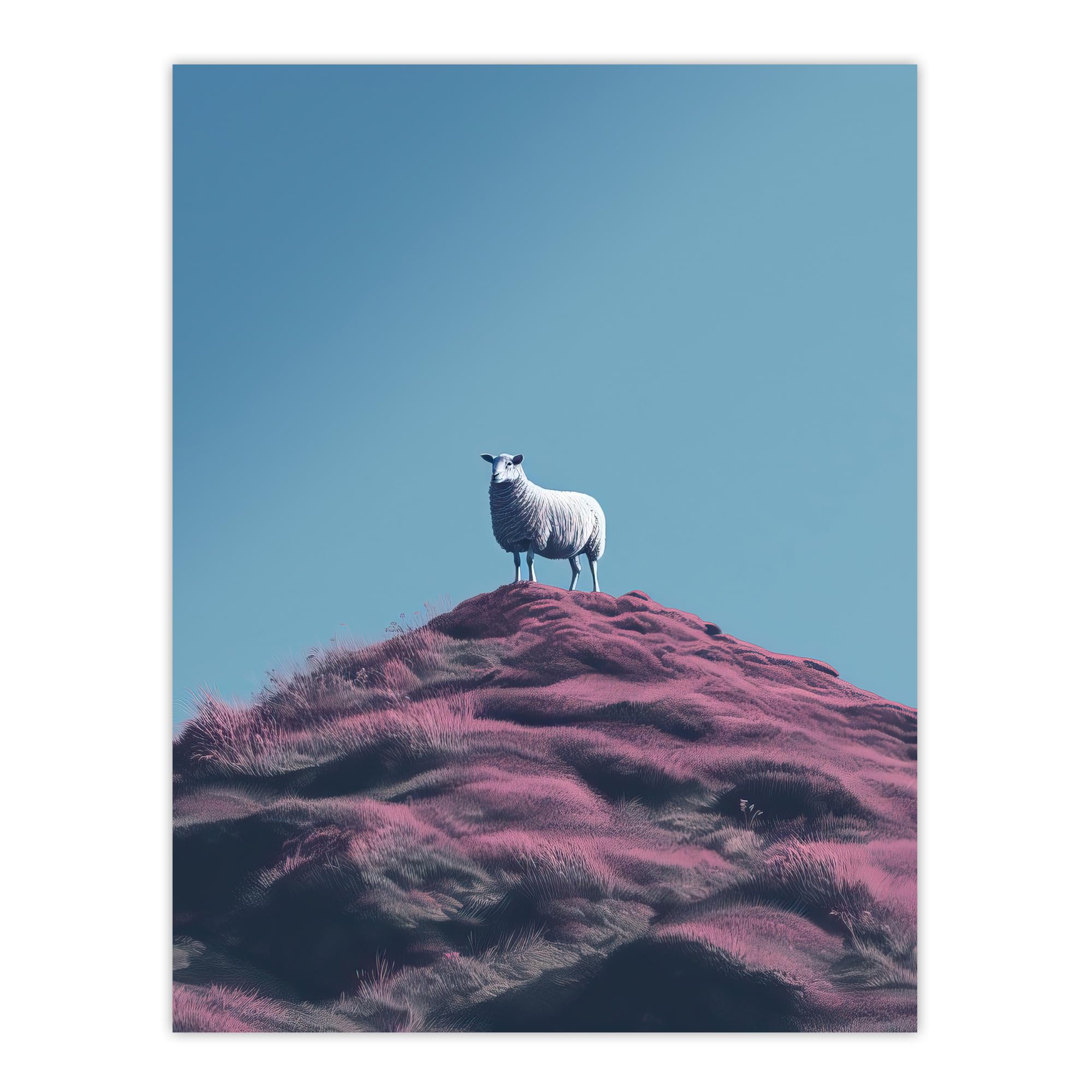 Wee Blue Coo High On The Heather Sheep Scotland Blue Extra Large XL Wall Art Poster Print