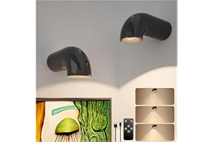 KITLOO LED Spotlight Indoor, Wireless Up Lights Indoor with Remote, Rechargeable Battery Operated Uplighting Indoor with Timer, Dimmable Spot Lights Indoor Accent Picture Lights for Wall, Art, Plant (2 Pack)