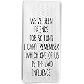 BitKAM Funny Friends Kitchen Towels, Best Friend Bestie BFF Gifts for Women Dish Tea Towels for Kitchen, Long Distance Friendship Gifts Decorative Hand Towels for Bathroom, 16x24 Inch