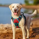 rabbitgoo Dog Harness Medium No Pull Front Back Reflective Adjustable Red Teal view 8