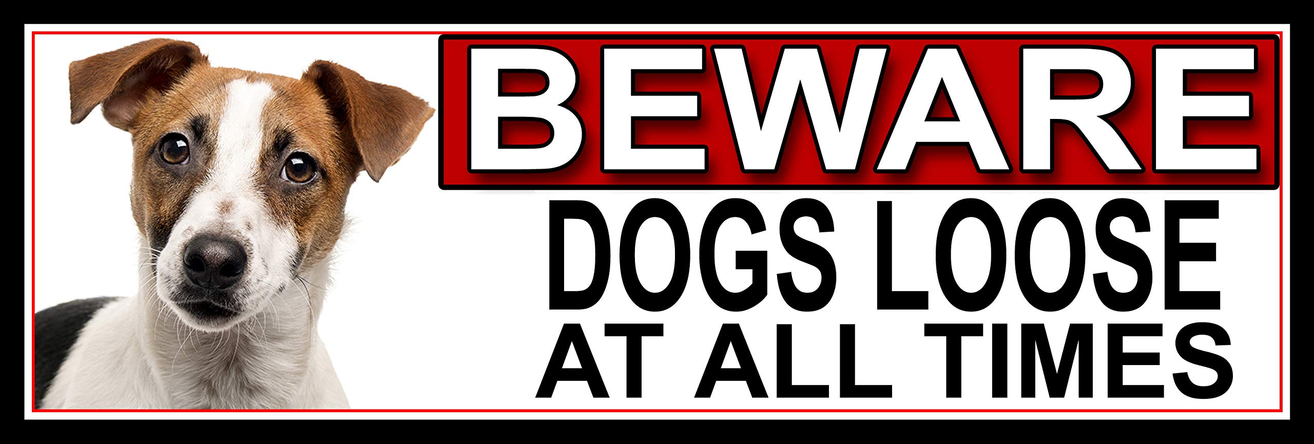SHAWPRINT Jack Russell BEWARE DOGS LOOSE AT ALL TIMES METAL GATE SIGN 266mm x 87mm. (400H2)