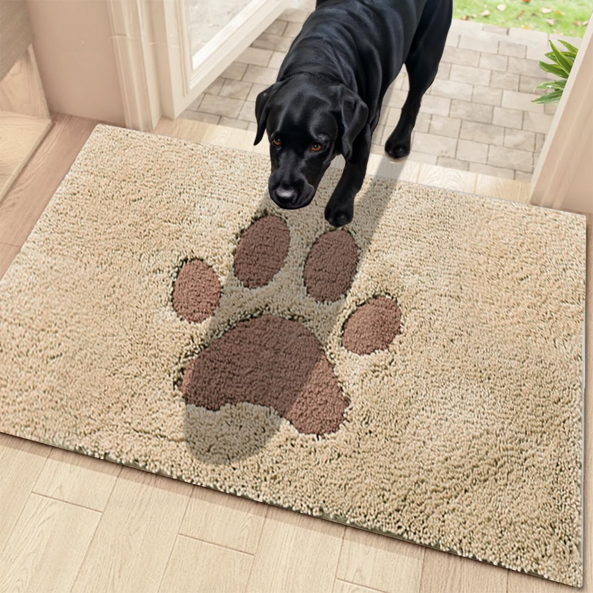 Oiilores Dirt Trapper Door Mat Indoor 50 x 80 cm, Non-Slip Washable Rug, Low-Profile Inside Doormats for Entryway, Super Absorbent Dog Mats for Muddy Paws, Beige