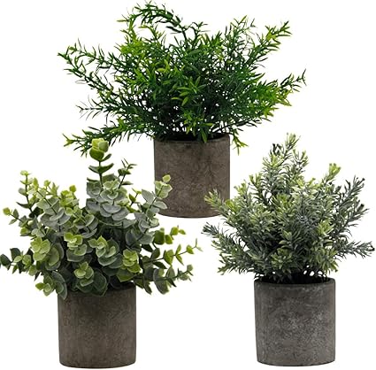 Amazon Zcaucya 小さな鉢植え人工植物 人工ユーカリ植物 フェイクローズマリー 9 5インチ プラスチック 植物 自宅 オフィス 庭 装飾 屋内 屋外 3個セット 人工観葉植物 オンライン通販