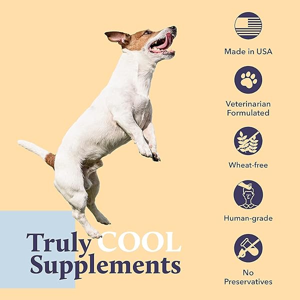 KENN & KIT SUPPLEMENTS FOR DOGS (DIGESTIVE HEALTH)
