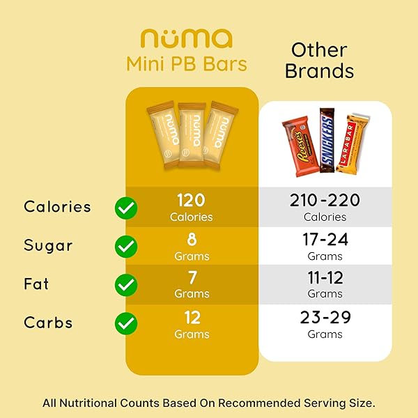 NUMA FOODS MINI PEANUT BUTTER BARS – VEGAN, LOW SUGAR, HIGH PROTEIN, ALL NATURAL, GLUTEN FREE – CRUNCHY PLANT BASED PEANUT BUTTER SNACKS – 3 BAGS WITH 8 INDIVIDUALLY WRAPPED PB BITES