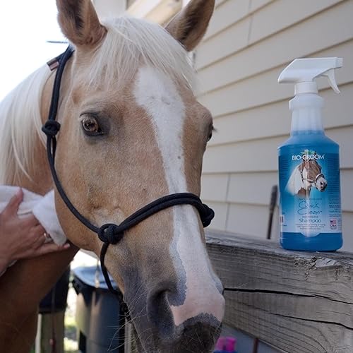 Bio-Groom Waterless Horse Shampoo Dry, Quick Clean, Mane and