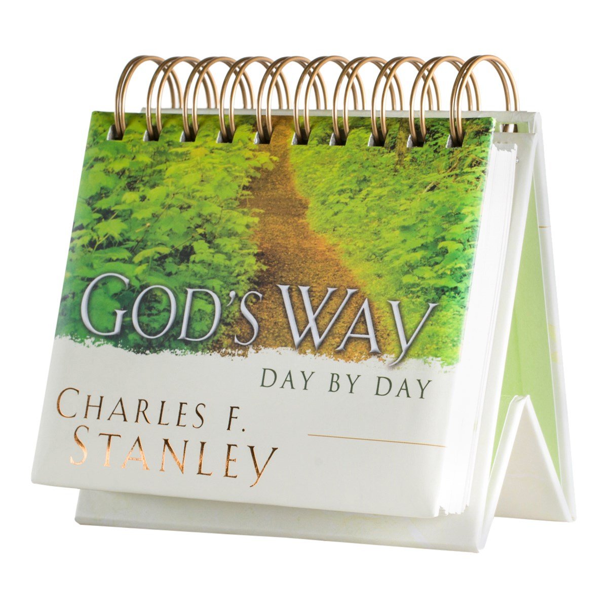 DAYBRIGHTENER: God's Way Day by Day