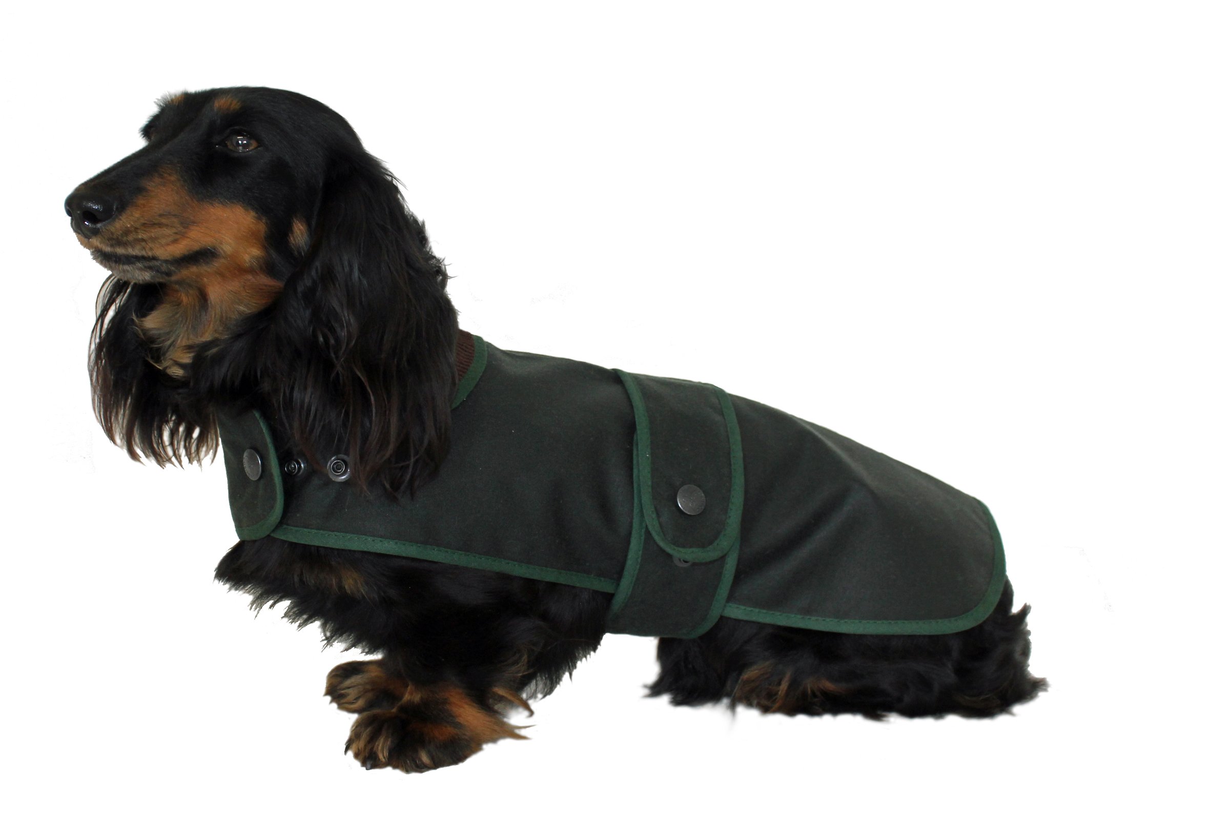 Cosipet Dachshund Hunter coat 19" (48cm) Green