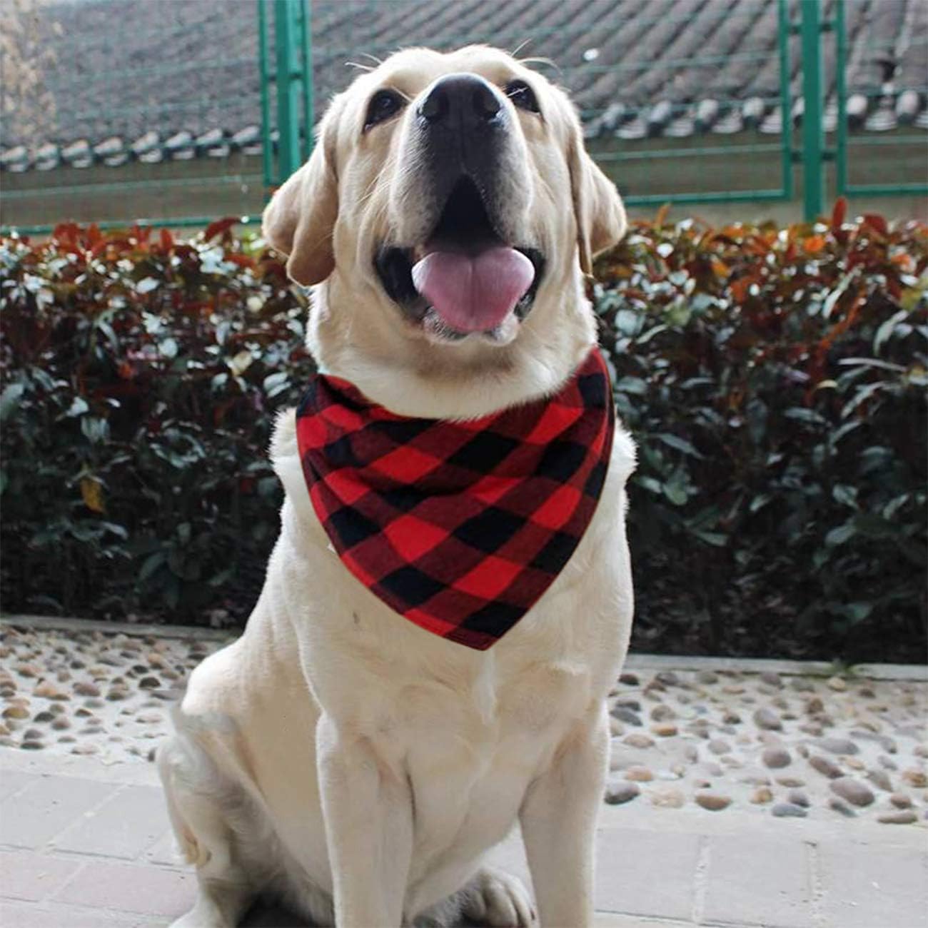 Malier 2 Pack Dog Bandana Christmas Classic Plaid Pet Bandana Scarf Triangle Bibs Kerchief Set Pet Costume Accessories Decoration for Small Medium Large Dogs Cats Pets (L, Red Plaid + Red Plaid) : Pet Supplies
