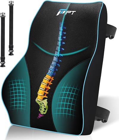POOTACK Lumbar Support Cushion Memory Foam Back Support for Office Car Chair