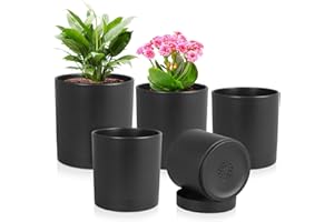 Meowell 7/6.5/6/5/4 inch Plant Pots for Small Indoor Outdoor Plants, 5 Pack Cylinder Flower Pots with Drainage Holes and Saucers, Plastic Planters for Garden Succulent House Plants, Black