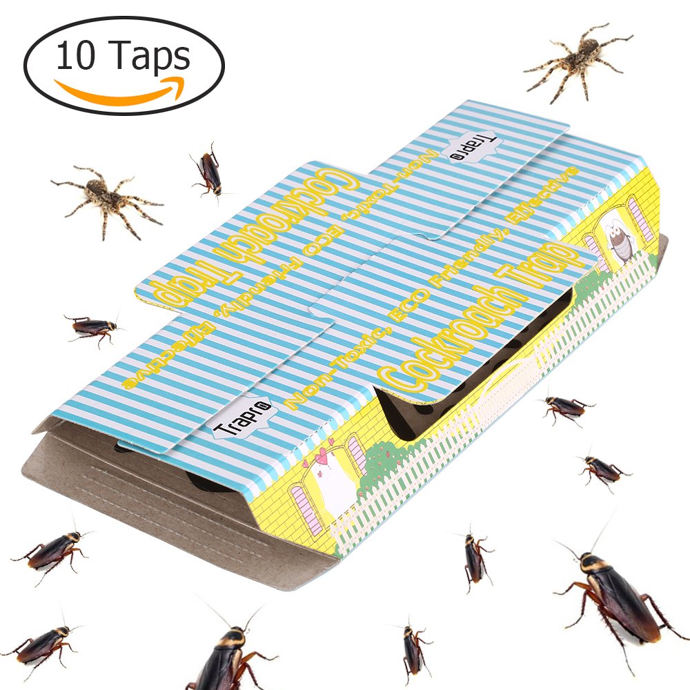The 5 Best Roach Traps + Reviews & Ratings! (Jul. 2020)
