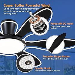 Ceiling Fans with Lights, 51 inch Modern Black Low