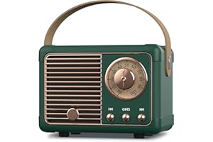 PRUNUS J-999 Retro Bluetooth Speaker,Vintage Decor,Mini Wireless Bluetooth Speaker,Cute Old Fashion Style Support USB/TF Card